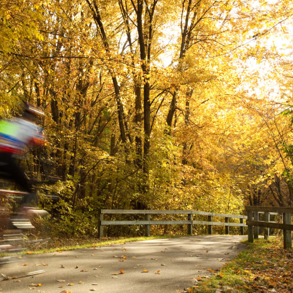bike path through forest at Rock Creek, Billings