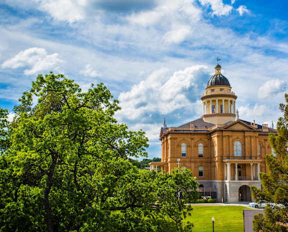 A large building with a dome and a flag on top is surrounded by trees.