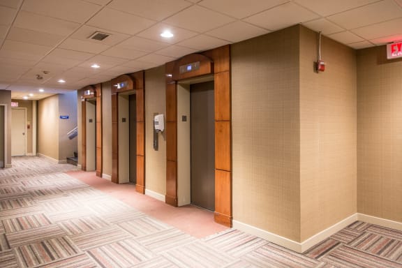 a hallway of elevators and doors in a building with a carpeted floor