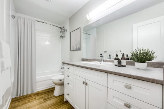 a bathroom with a sink and a toilet and a shower