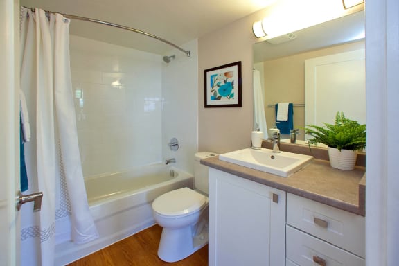 a bathroom with a sink toilet and a shower