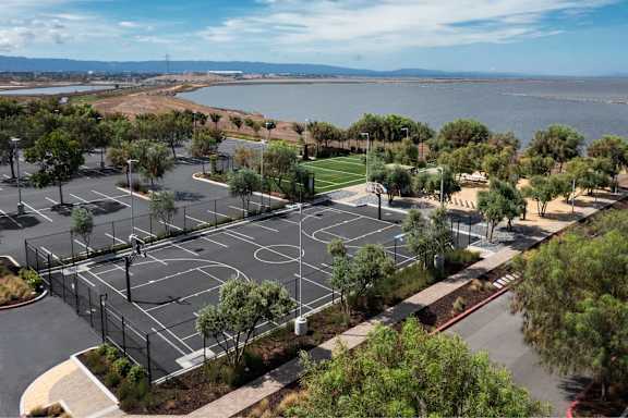 A basketball court is surrounded by trees and grass.