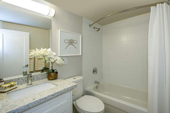 a bathroom with a sink and a toilet and a tub
