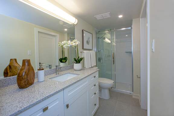 a bathroom with a sink and a toilet and a shower