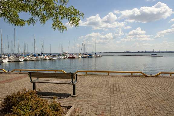 a bench overlooking a marina with boats in the water