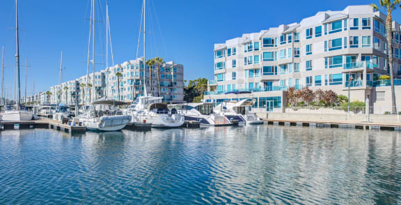 boats docked at a marina with buildings in the background  at Esprit Apartments, Marina del Rey