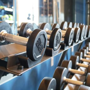 a row of dumbbells in a gym  at Timber Ridge, Forest Lake, 55025