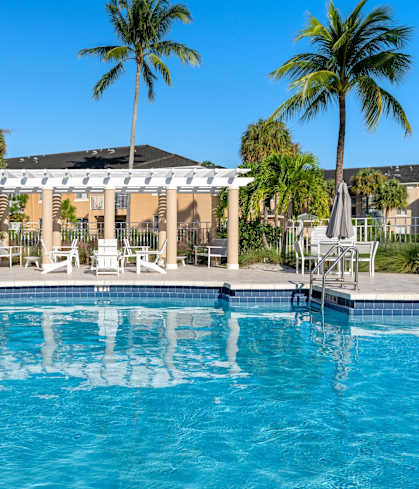 A pool with a white pergola and palm trees in the background.