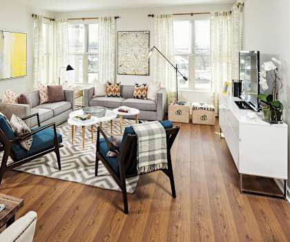 a living room with couches and chairs and a rug