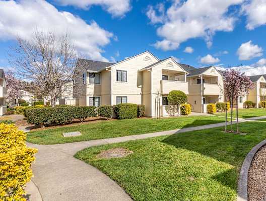 Green Lawn at Emerald Pointe, Rohnert Park, CA 94928