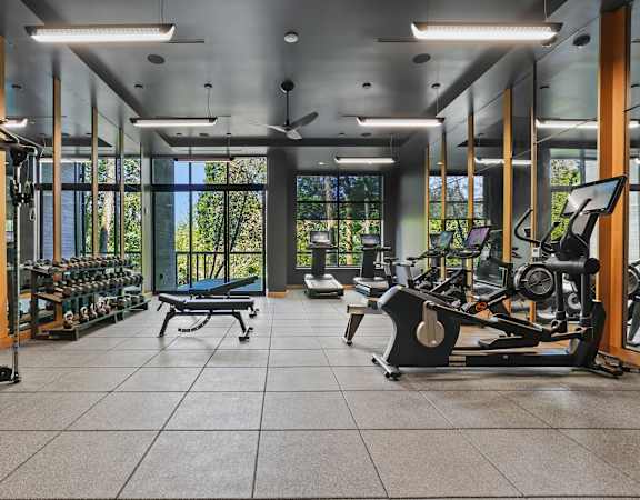 Forest-facing fitness center with fresh air deck - Willow Apartments