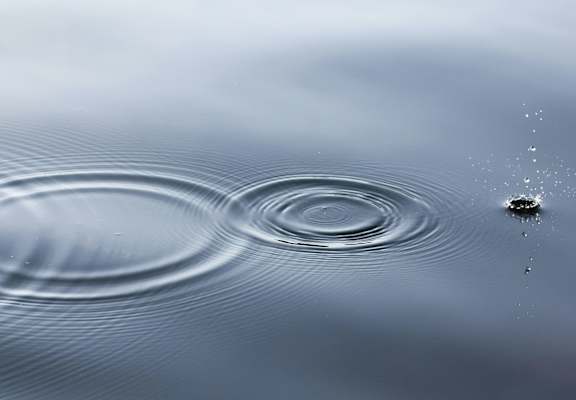 a water droplet making a ripple in a body of water