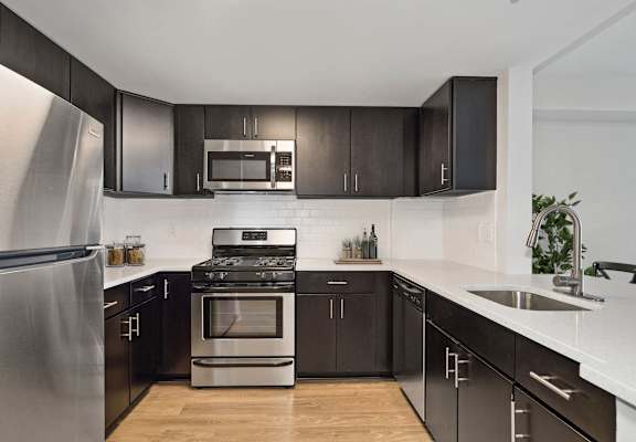 A modern kitchen with dark wood cabinets and stainless steel appliances.