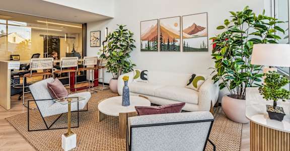 A living room with a couch, chairs, and potted plants.