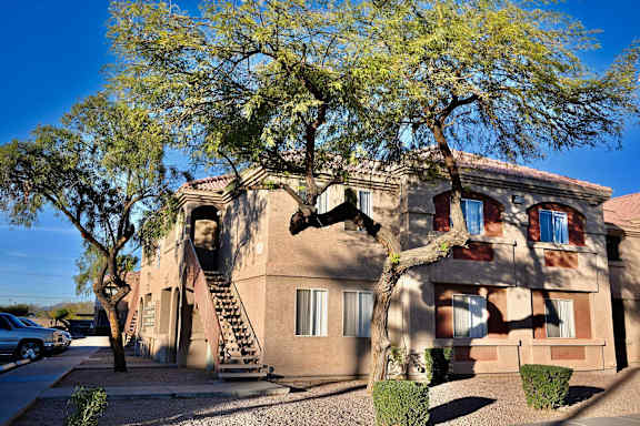 A large tree in front of a tan building with a staircase leading to the entrance.