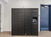 Thumbnail 39 of 42 - A black LUXER storage unit with a door on the right. 605 Place Student Housing & Co-Living, St George