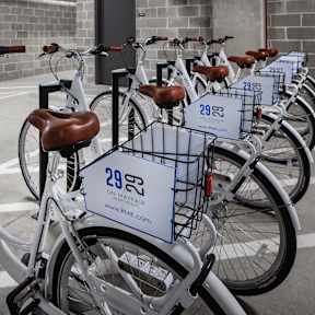A row of bicycles are parked in a lot with a sign that says 2923.