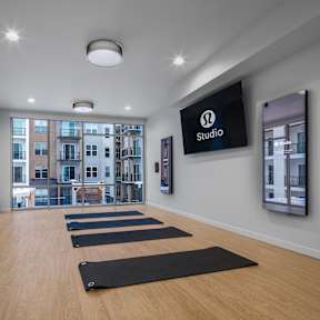 A gym with treadmills, elliptical machines, and a bicycle.