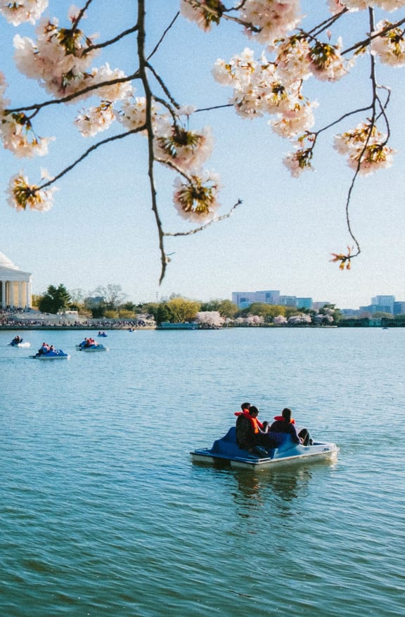 people on boats on a lake in front of the jefferson memorial