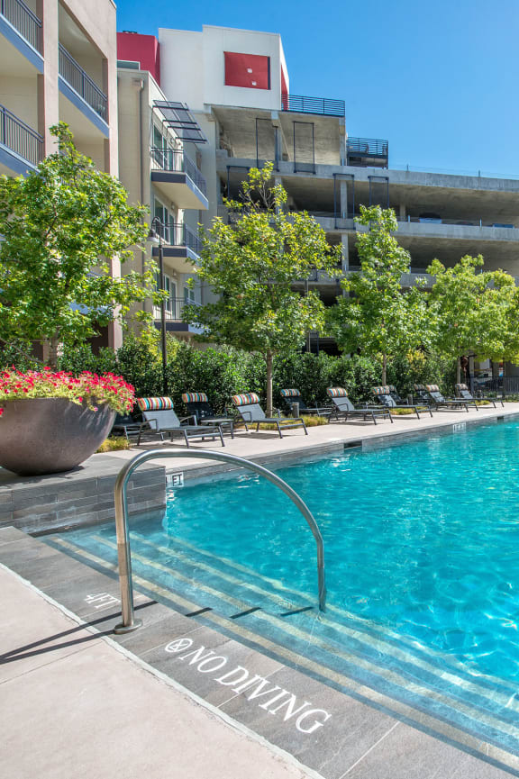 Pool Lounger  atat South Side Flats in Texas 75215