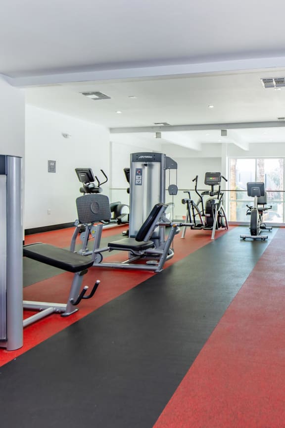 a gym with cardio equipment and weights on a red rug at Evoq Apartment Homes, Las Vegas Nevada