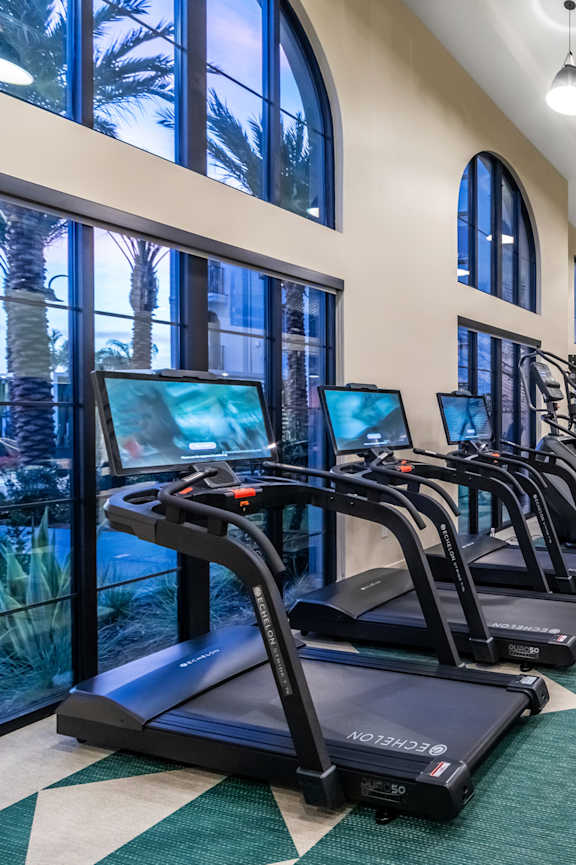 A gym with treadmills and exercise equipment.