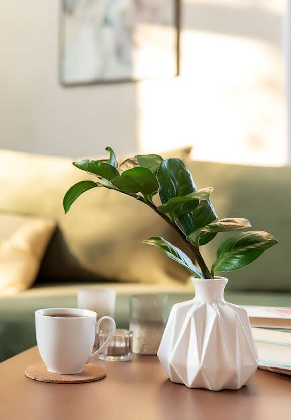 White vase with a green plant sits on a table at Wellington Place, Sandston, Virginia