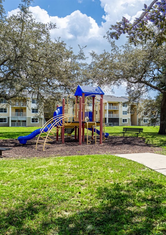 our apartments have a large pool and a building with a tree