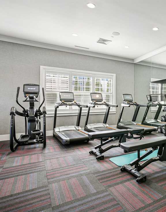 A gym with a variety of equipment including treadmills, stationary bikes, and weight machines.