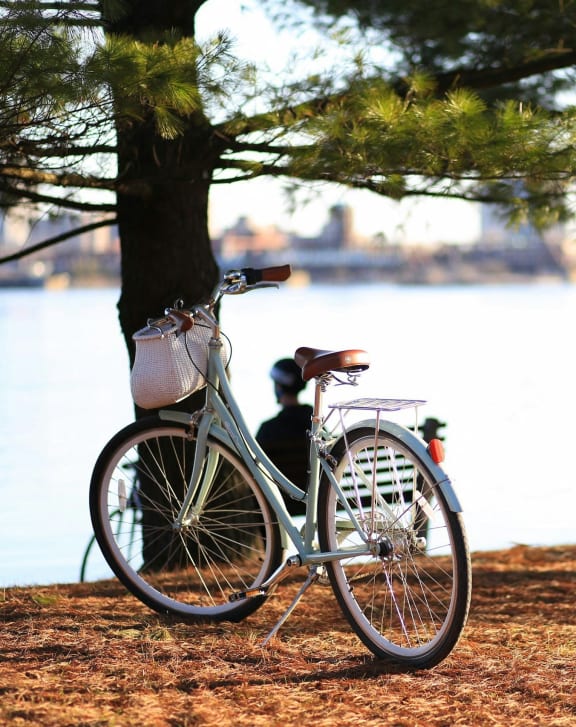 a bike parked next to a tree by the water at Cityscape, St Louis Park, 55416