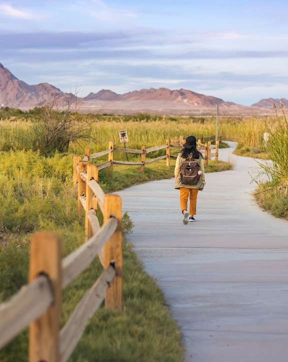 a road with a person in Nevada at Sunset Winds in Henderson, 89014