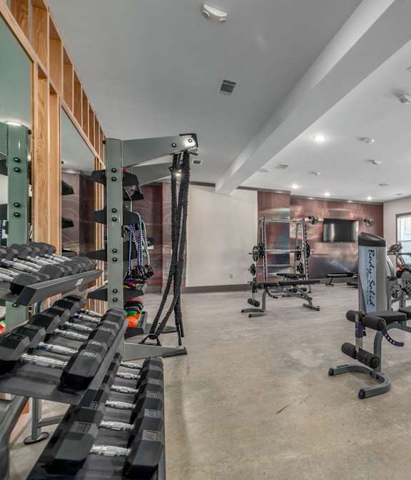 A spacious gym with a variety of equipment including treadmills, weights, and exercise machines.