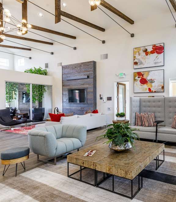 Modern and Beautiful Living room at Auburn Brook, Castle Rock, CO, 80109