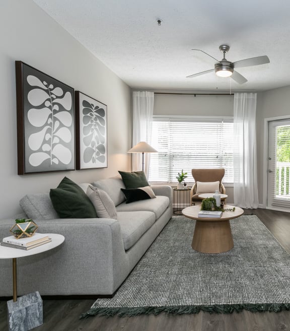 our apartments offer a living room with a couch and a tv