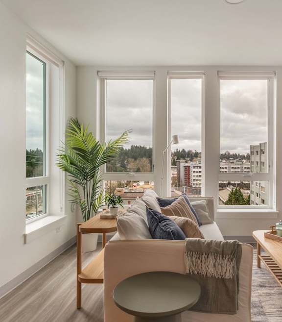 a white couch and a green plant in a pot at Nook at Northaven Apartments, Washington, 98125