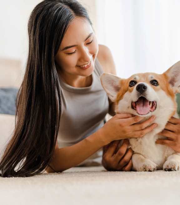 Pet Friendly  at Cambridge Square Apartments, Kansas