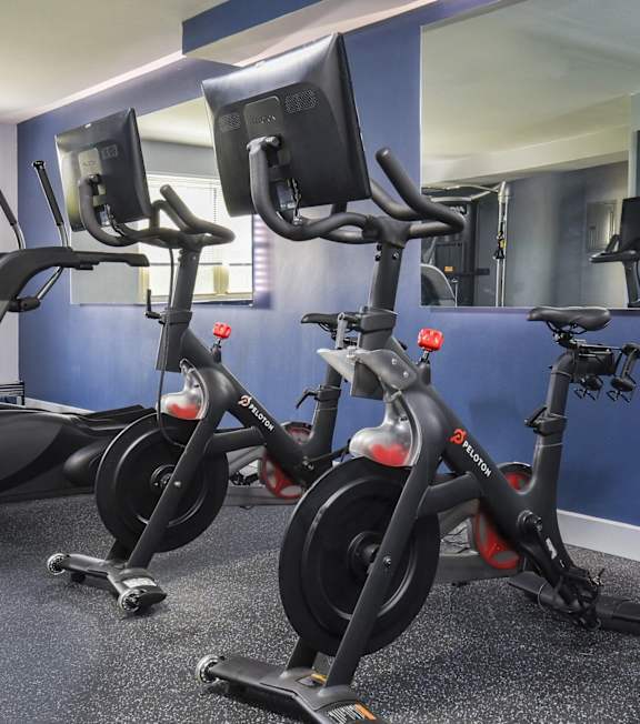 Three stationary bikes are lined up in a row in a gym.