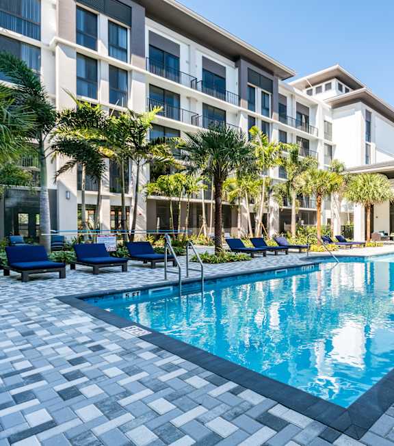 A large swimming pool surrounded by palm trees and lounge chairs.