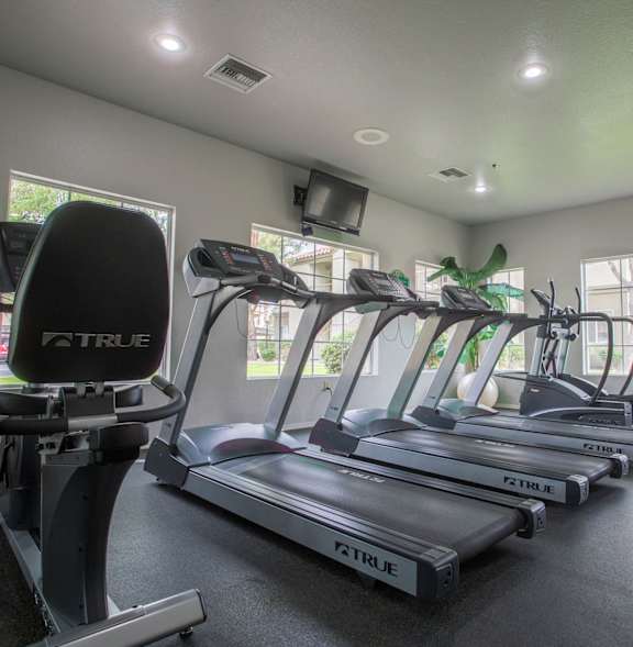 A gym with treadmills, a bench, and a weight machine.