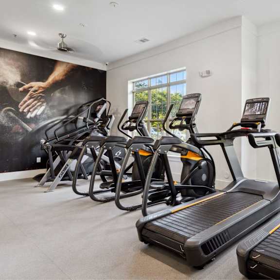 A row of treadmills are lined up in a gym.