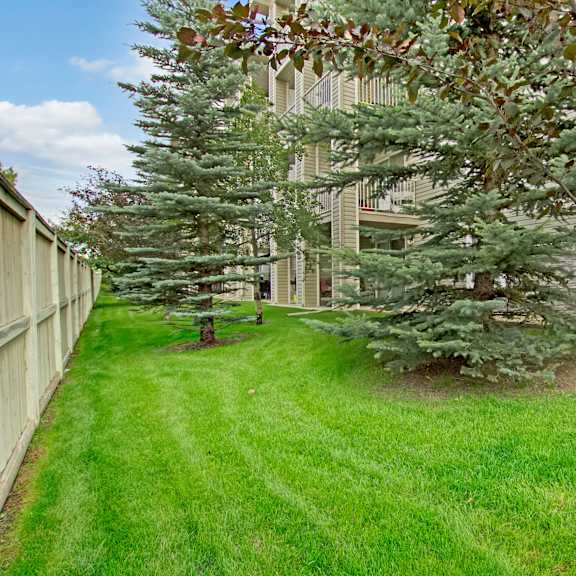 View of trees and green space behind the apartments at the Pointe at Applewood Apartment Homes.