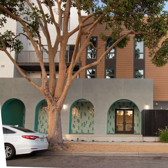 A modern building with a tree in front of it.