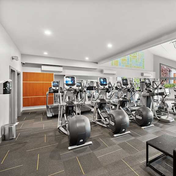 A gym with a variety of equipment including treadmills, stationary bikes, and weight machines.