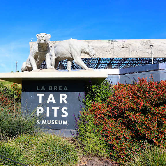 A sign for La Brea Tar Pits & Museum with a white lion statue in front.