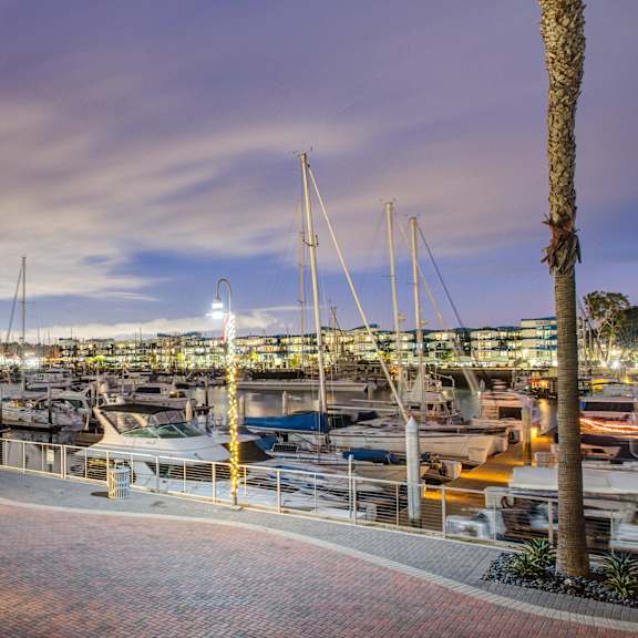 A marina at dusk with boats docked and palm trees.