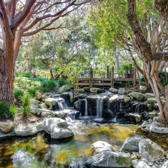the backyard has a waterfall and a pond  at Mariners Village, Marina del Rey, California