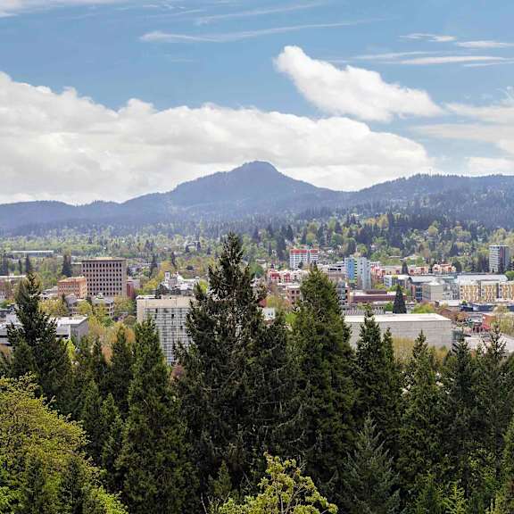  Eugene,  oregon cityscape with a mountain in the background and a yellow line drawn across the image.