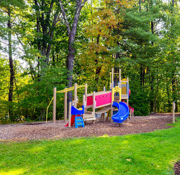 A playground with a blue slide and a red and yellow slide.