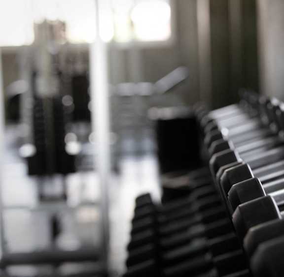 A row of dumbbells are lined up in a gym.