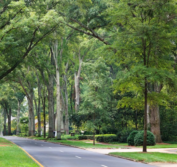 Park at The Tribute in Raleigh, North Carolina 27612